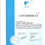 сертификат-daichi-старков-212x300